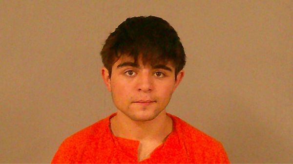 DOLFUSS, NELSON FRANK, V arrest record in Burnet County, Texas DOLFUSS, NELSON FRANK, V arrested in Burnet County, Texas mugshot