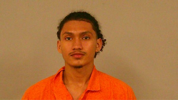 FLORES-FLORES, NELSON MOE arrest record in Burnet County, Texas FLORES-FLORES, NELSON MOE arrested in Burnet County, Texas mugshot