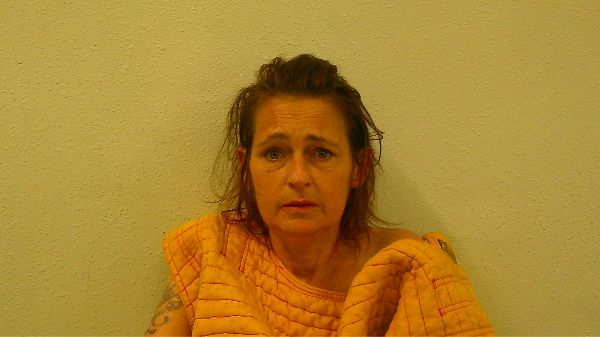 BONNER, CHRISTINA RAE arrest record in Burnet County, Texas BONNER, CHRISTINA RAE arrested in Burnet County, Texas mugshot