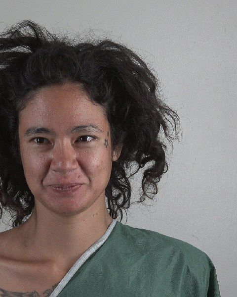 LAURA NEWHOUSE arrest record in Tarrant County, Texas LAURA NEWHOUSE arrested in Tarrant County, Texas mugshot