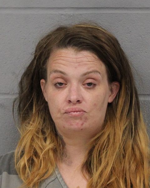 ASHLEY HUTCHINSON arrest record ASHLEY HUTCHINSON mugshot