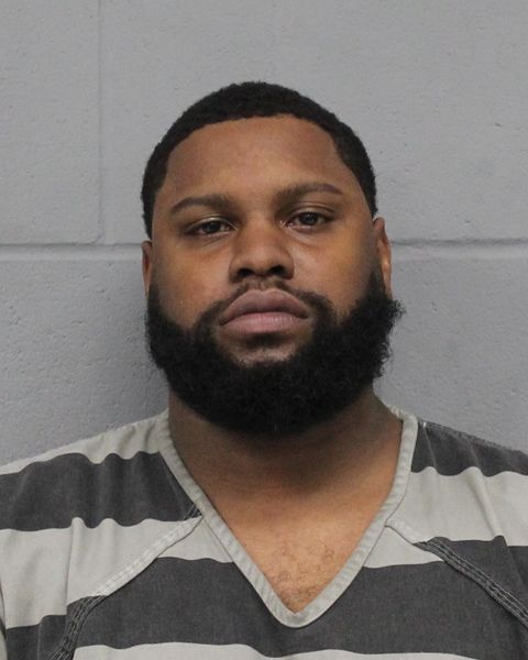 DAMARICA JOHNSON arrest record DAMARICA JOHNSON mugshot