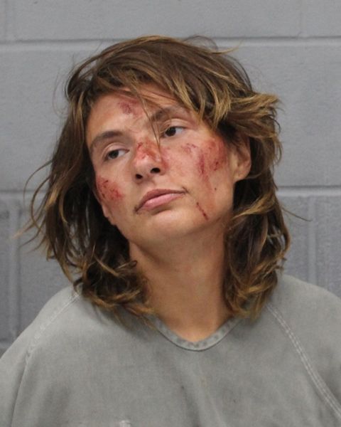 ERICA DEBORD arrest record ERICA DEBORD mugshot