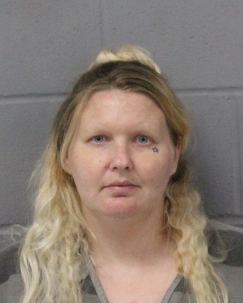 IRENE HOES arrest record IRENE HOES mugshot