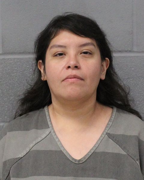 JUANITA CASTILLO arrest record JUANITA CASTILLO mugshot