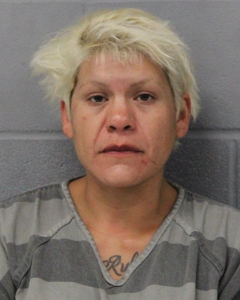 JOANNA LOZANO arrest record JOANNA LOZANO mugshot