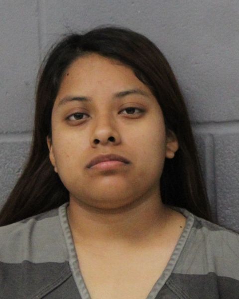 BRENDA CASTANEDA-CARBAJAL arrest record BRENDA CASTANEDA-CARBAJAL mugshot