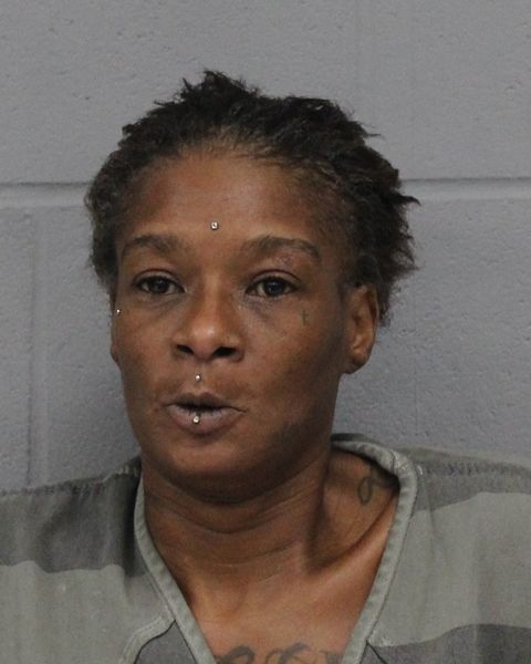 THELMA JOHNSON arrest record THELMA JOHNSON mugshot