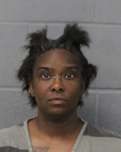 BRITTANY NELSON arrest record BRITTANY NELSON mugshot