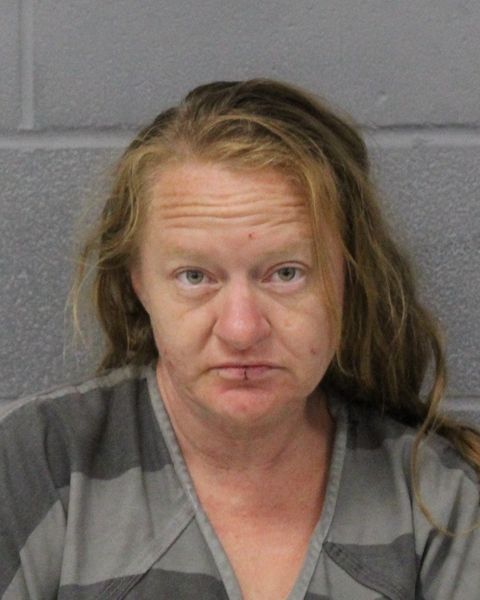 ELICIA JONES arrest record ELICIA JONES mugshot