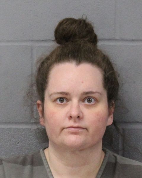 ELISA PASVOGEL arrest record ELISA PASVOGEL mugshot