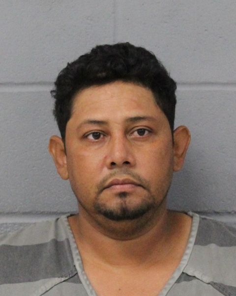 EDDY MEMBRENO arrest record EDDY MEMBRENO mugshot