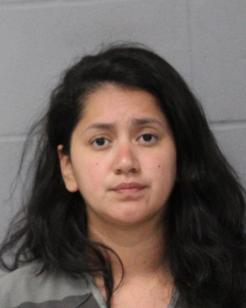 ESTEPHANIE PINEDA arrest record ESTEPHANIE PINEDA mugshot