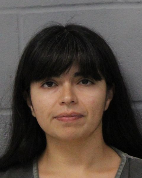 CAROLINA LANAS arrest record CAROLINA LANAS mugshot