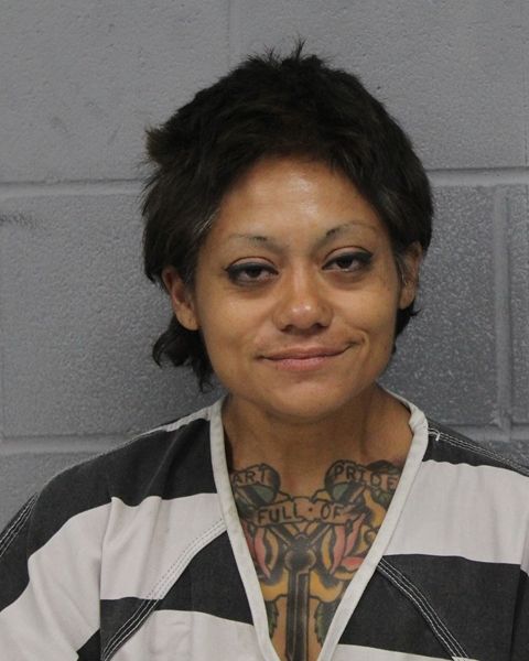 GINA NAVA arrest record GINA NAVA mugshot