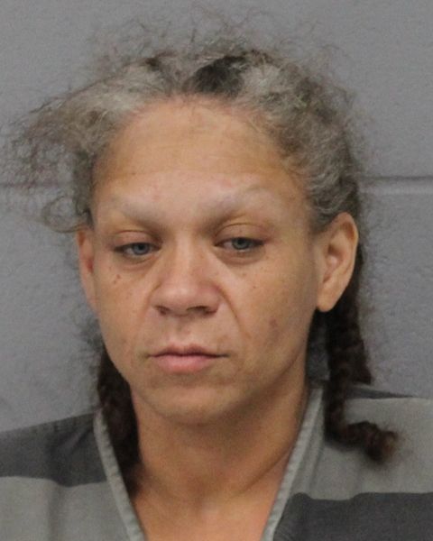 LEA JONES arrest record LEA JONES mugshot