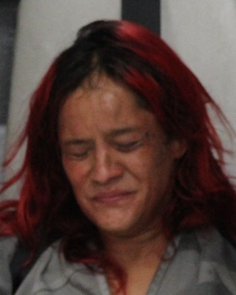 KARLA DELAROSA arrest record KARLA DELAROSA mugshot