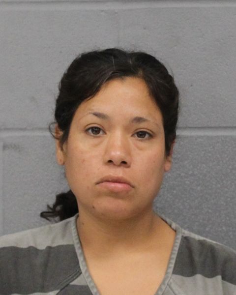 GABRIELA GONZALEZ arrest record GABRIELA GONZALEZ mugshot