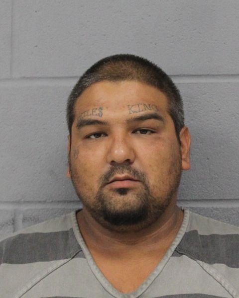 DOMINIQUE AVILES arrest record DOMINIQUE AVILES mugshot