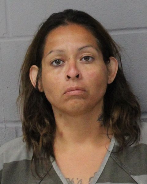 VANESSA FIGOROA arrest record VANESSA FIGOROA mugshot
