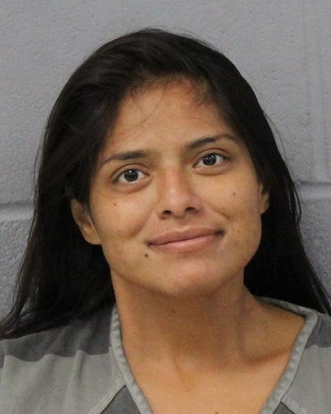 DIANA RAMIREZ-URBINA arrest record DIANA RAMIREZ-URBINA mugshot