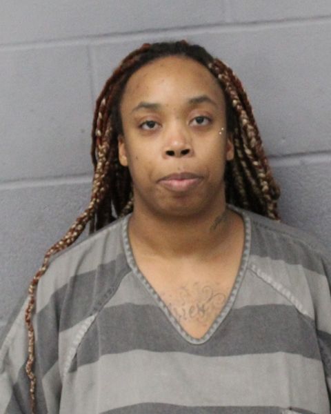 NIKKI HAMILTON arrest record NIKKI HAMILTON mugshot