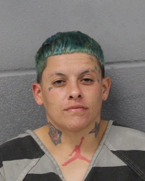 JOSEFINA MARTINEZ arrest record JOSEFINA MARTINEZ mugshot