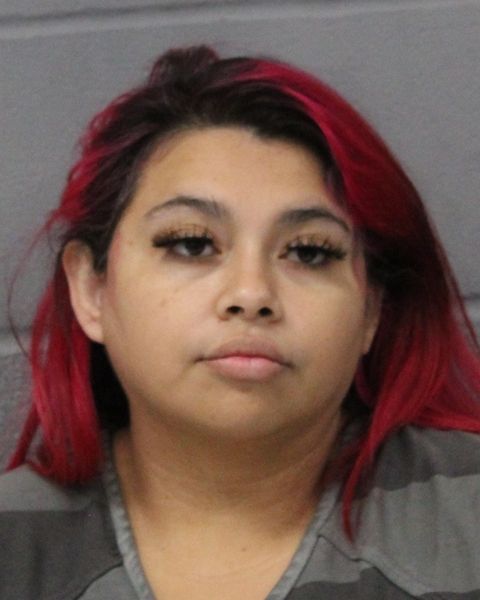 BLANCA JAIMES arrest record BLANCA JAIMES mugshot