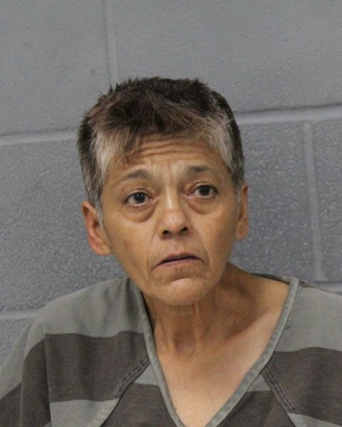 MARY DELEON arrest record MARY DELEON mugshot