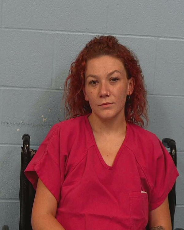 Davis, Michaelene Cecilia arrest record in Williamson County, Texas Davis, Michaelene Cecilia arrested in Williamson County, Texas mugshot