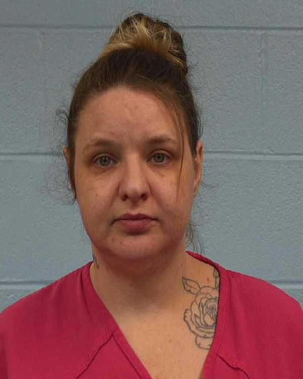 Lapin, Holly Elayne arrest record in Williamson County, Texas Lapin, Holly Elayne arrested in Williamson County, Texas mugshot