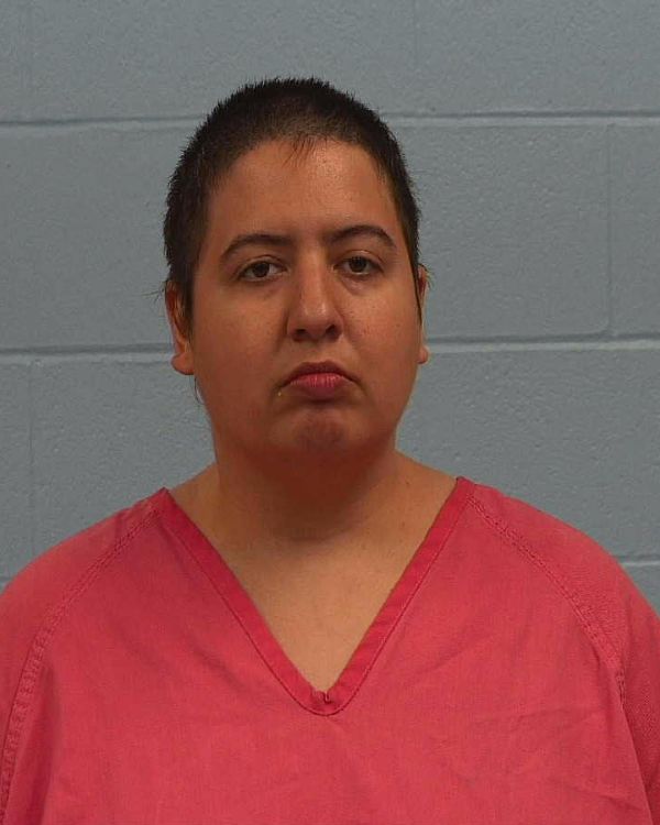 Sanchez, Sara Beth arrest record in Williamson County, Texas Sanchez, Sara Beth arrested in Williamson County, Texas mugshot