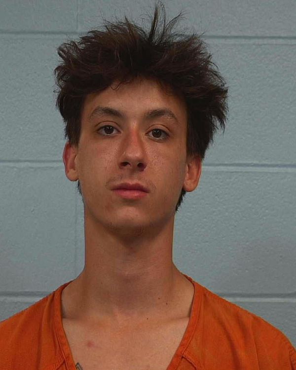 Brown, Landen Matthew arrest record in Williamson County, Texas Brown, Landen Matthew arrested in Williamson County, Texas mugshot