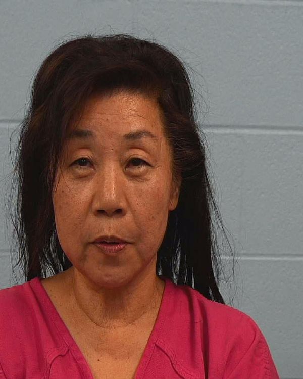 Freeman, Susan arrest record in Williamson County, Texas Freeman, Susan arrested in Williamson County, Texas mugshot