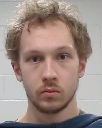 Louis, Sean Michael arrest record in Collin County, Texas Louis, Sean Michael arrested in Collin County, Texas mugshot