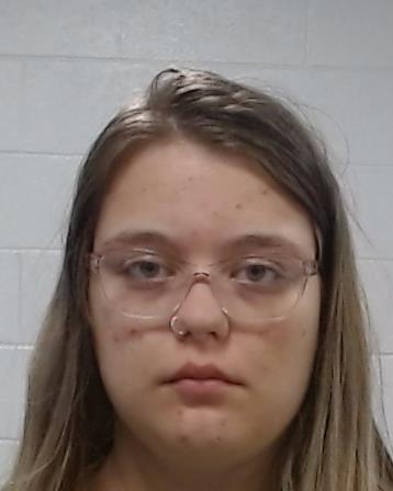 Pendleton, Bailey Rose arrest record in Collin County, Texas Pendleton, Bailey Rose arrested in Collin County, Texas mugshot