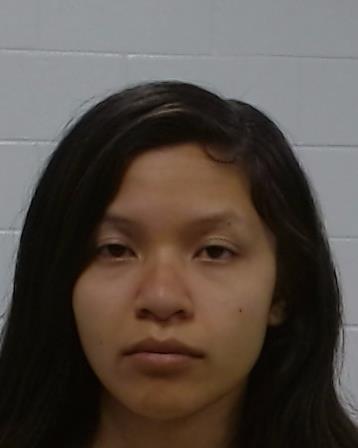 Nguyen, Natalie Minh-Ngoc arrest record in Collin County, Texas Nguyen, Natalie Minh-Ngoc arrested in Collin County, Texas mugshot