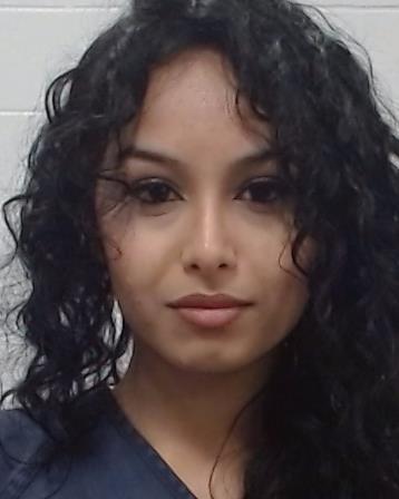 Chisti, Arshiya arrest record in Collin County, Texas Chisti, Arshiya arrested in Collin County, Texas mugshot
