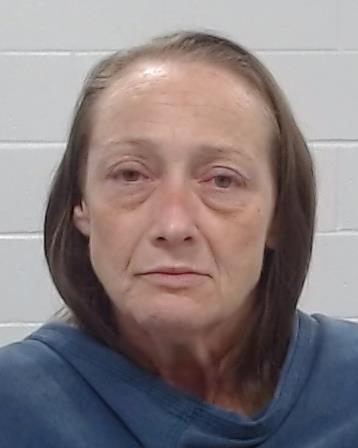 RICHARDSON, SHANNON RAE arrest record in Collin County, Texas RICHARDSON, SHANNON RAE arrested in Collin County, Texas mugshot