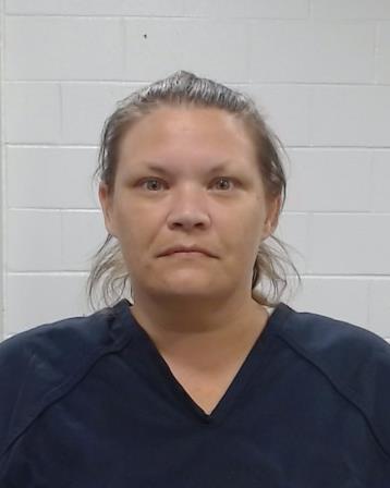 Wilson, Brinna Ann arrest record in Collin County, Texas Wilson, Brinna Ann arrested in Collin County, Texas mugshot