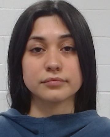 Najera Hitzelberger, Serena Denise arrest record in Collin County, Texas Najera Hitzelberger, Serena Denise arrested in Collin County, Texas mugshot
