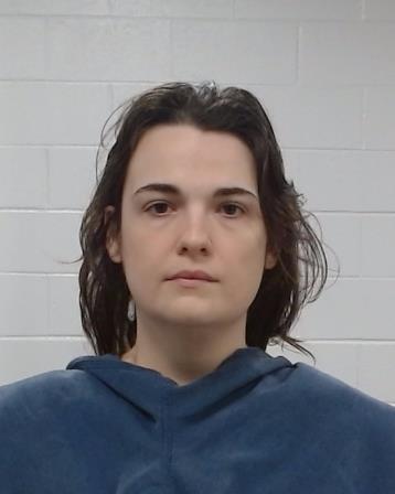 Palmer, Jillian arrest record in Collin County, Texas Palmer, Jillian arrested in Collin County, Texas mugshot