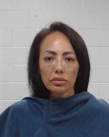 Kaul, Sara arrest record in Collin County, Texas Kaul, Sara arrested in Collin County, Texas mugshot