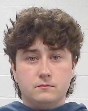 Homola, Sydney arrest record in Collin County, Texas Homola, Sydney arrested in Collin County, Texas mugshot