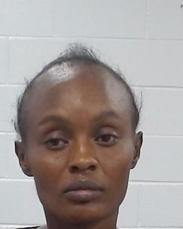 Muthoni, Elizabeth Wangare arrest record in Collin County, Texas Muthoni, Elizabeth Wangare arrested in Collin County, Texas mugshot