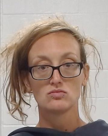 Shimanek-Abston, Brooke arrest record in Collin County, Texas Shimanek-Abston, Brooke arrested in Collin County, Texas mugshot