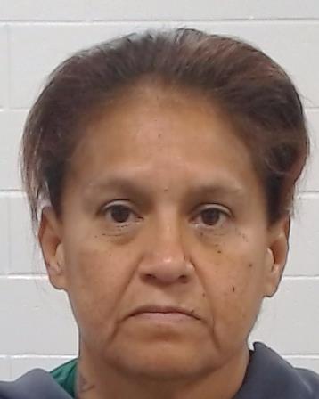Lara, Mary Cortez arrest record in Collin County, Texas Lara, Mary Cortez arrested in Collin County, Texas mugshot