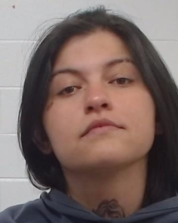 Vega Huerta, Elizabeth arrest record in Collin County, Texas Vega Huerta, Elizabeth arrested in Collin County, Texas mugshot
