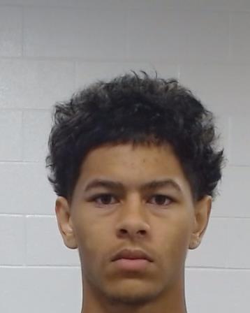 Lott, Cameron Michael arrest record in Collin County, Texas Lott, Cameron Michael arrested in Collin County, Texas mugshot