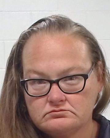 Poudel, Toni Lee arrest record in Collin County, Texas Poudel, Toni Lee arrested in Collin County, Texas mugshot